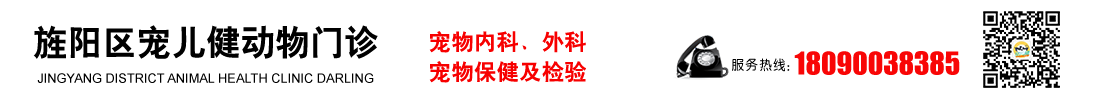【官網】旌陽區寵兒健動物門診
