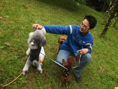 寵物寄養(yǎng)