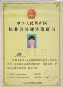 執(zhí)業(yè)獸醫(yī)師資格證書—唐婷